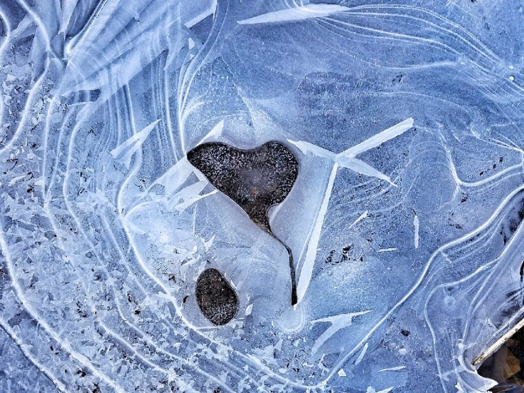 heart shape in ice