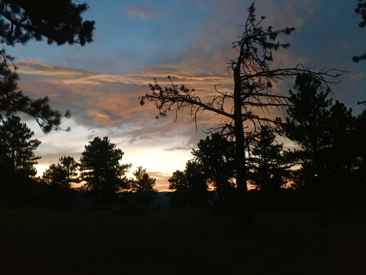 A view of the July sunset through the trees on the Enchanted Mesa Trail, Boulder, Colorado. Wildfires rage in the western part of the state and give a red tinge to the night skies.