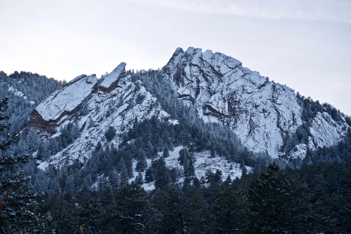A grey winter image of a snowcapped mountain peak, with pine trees in the foreground