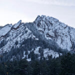 A grey winter image of a snowcapped mountain peak, with pine trees in the foreground