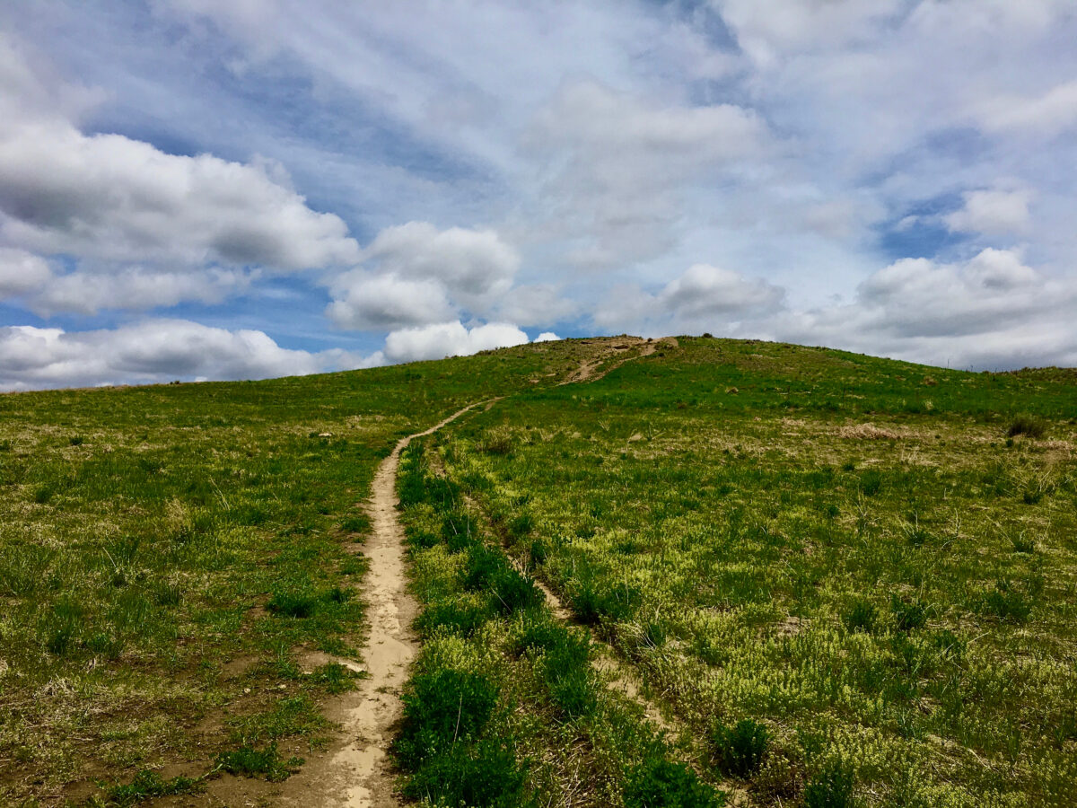 A spring green hill in the eastern prairie of Colorado, with a dirt trail leading up to the top. 